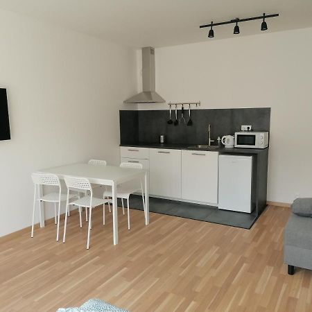 Brand New Studio Apartment #21 With Free Secure Parking In The Center 布拉格 外观 照片
