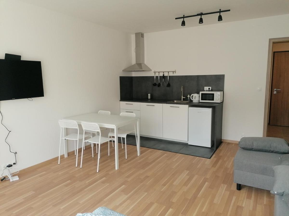Brand New Studio Apartment #21 With Free Secure Parking In The Center 布拉格 外观 照片