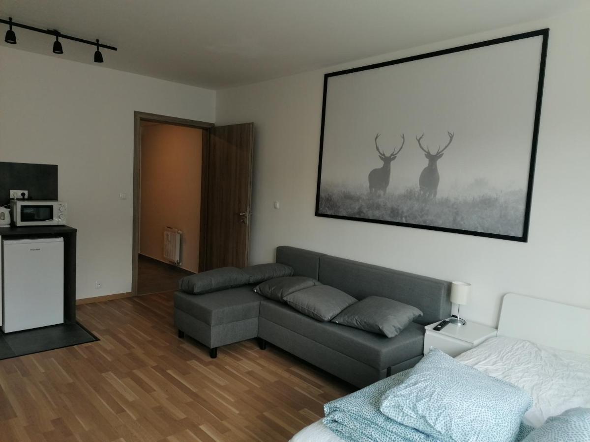 Brand New Studio Apartment #21 With Free Secure Parking In The Center 布拉格 外观 照片